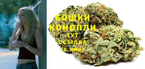 ALPHA PVP Бородино