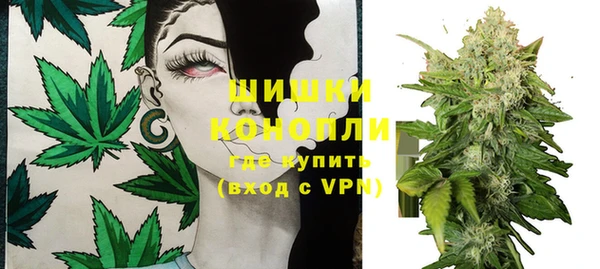 ALPHA PVP Бородино