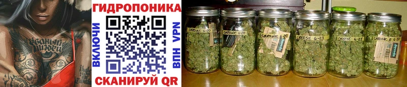 купить наркоту  Пятигорск  МАРИХУАНА индика 